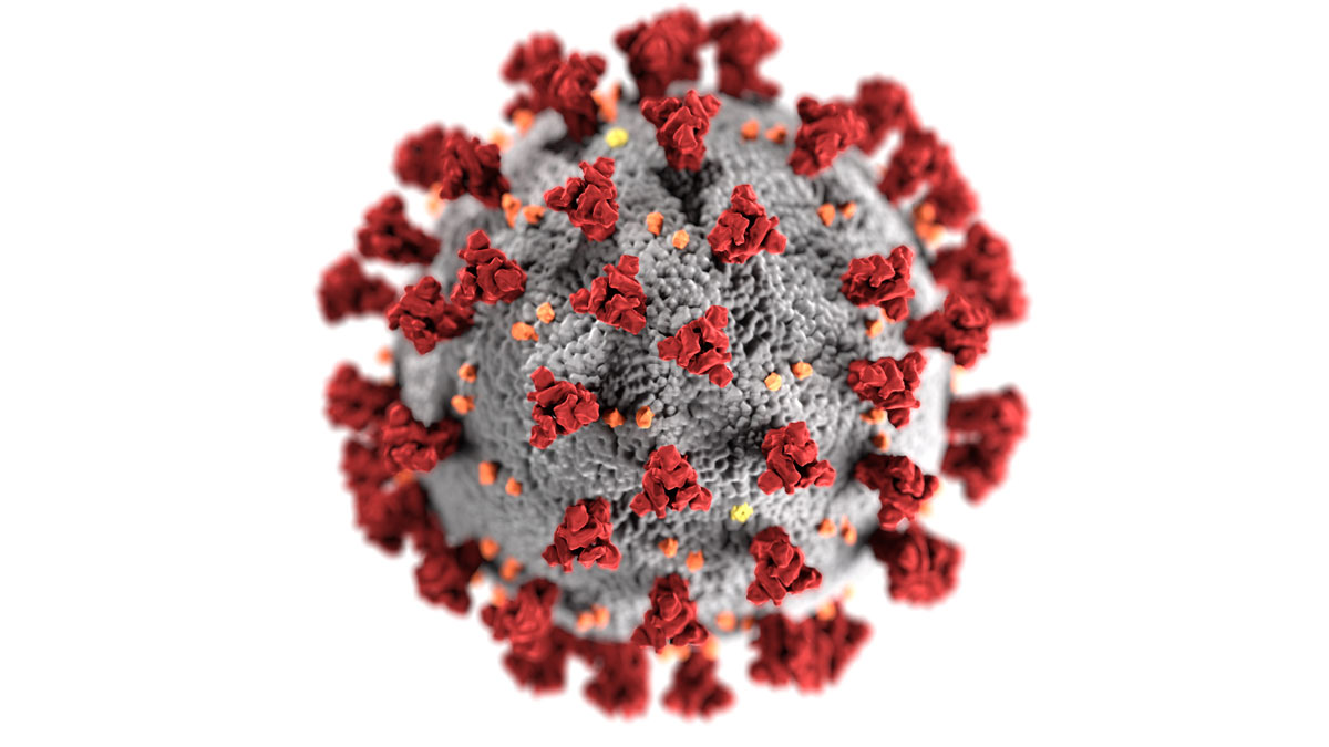 coronavirus 