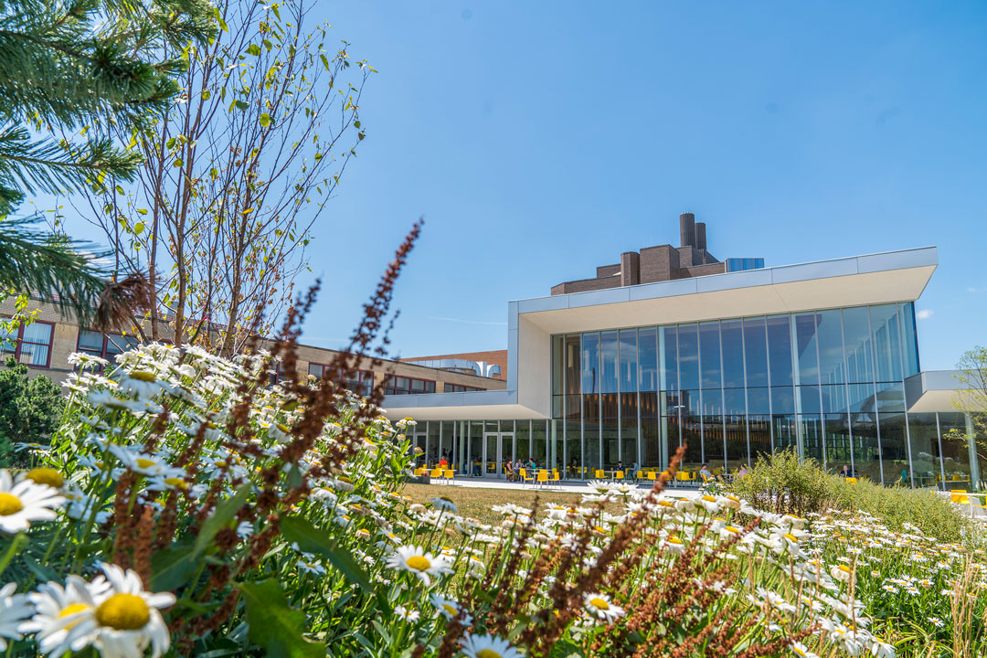 The interior courtyard of Cornell Vet, with flowers in the foreground and a glass building behind them