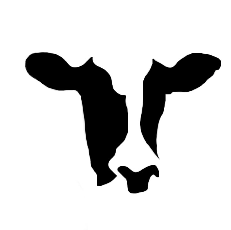 Dairy cow