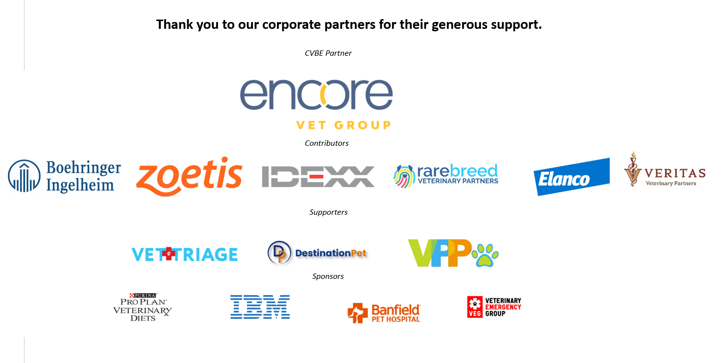 CVBE Partners