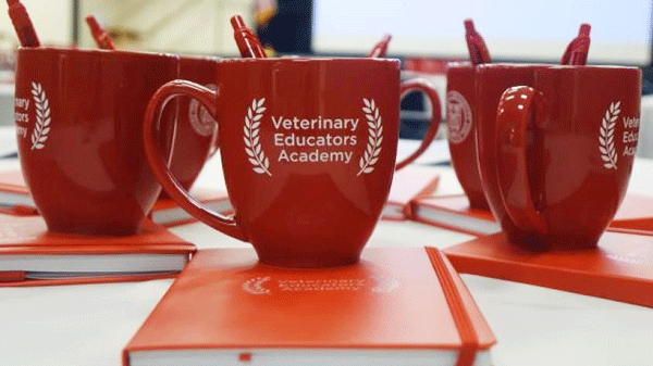 branded mugs on a table