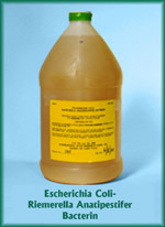 Escherichia Coli - Riemerella Anatipestifer Bacterin