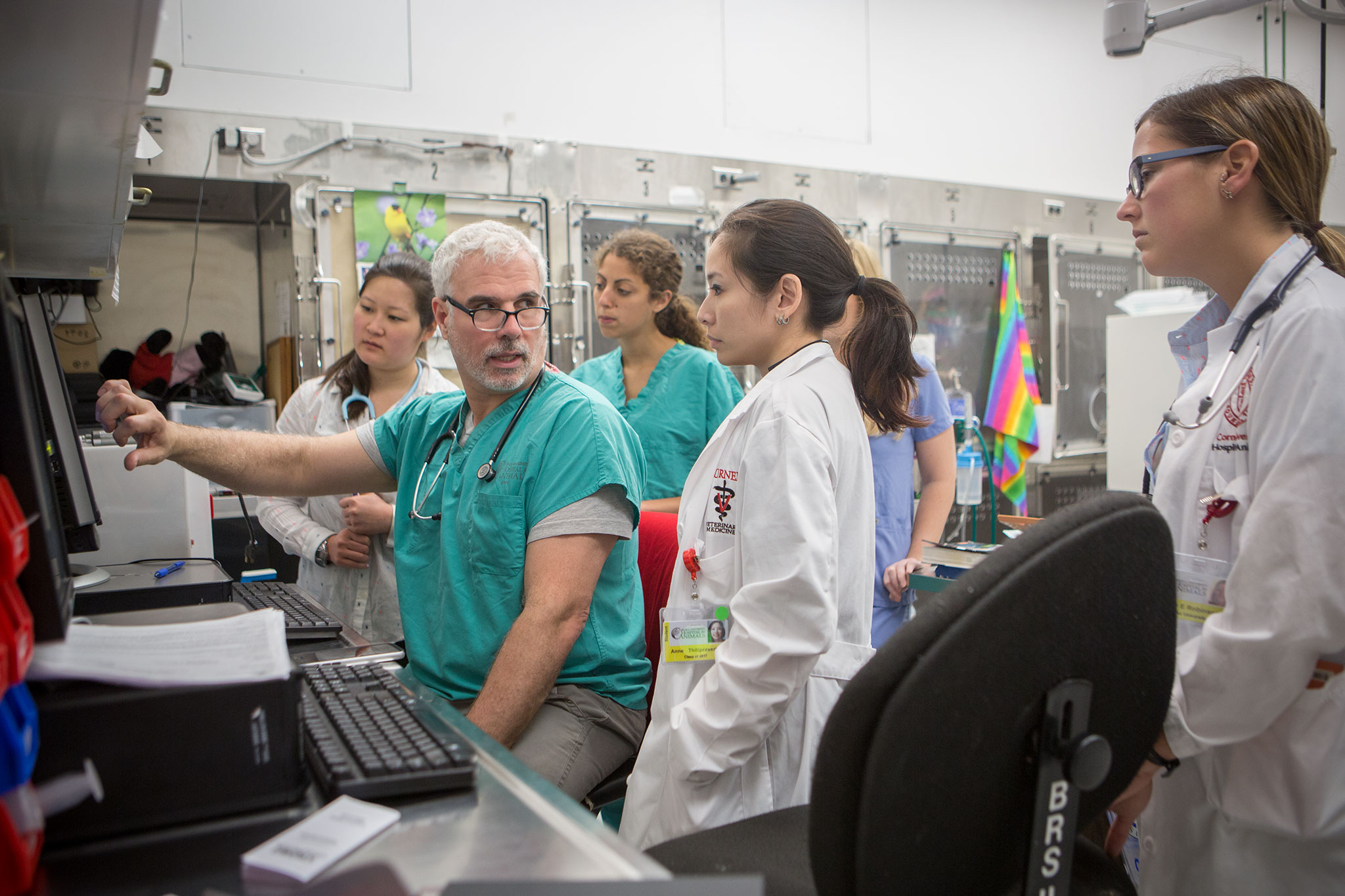 Education Cornell University College of Veterinary Medicine