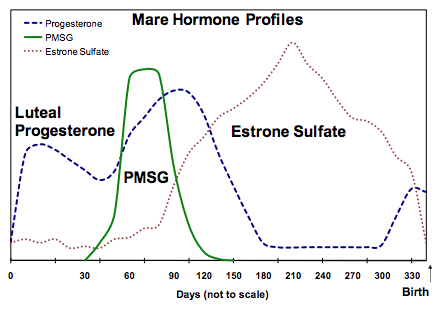 Female Reproductive Hormones Chart