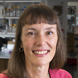 Marjolein van der Meulen, PhD