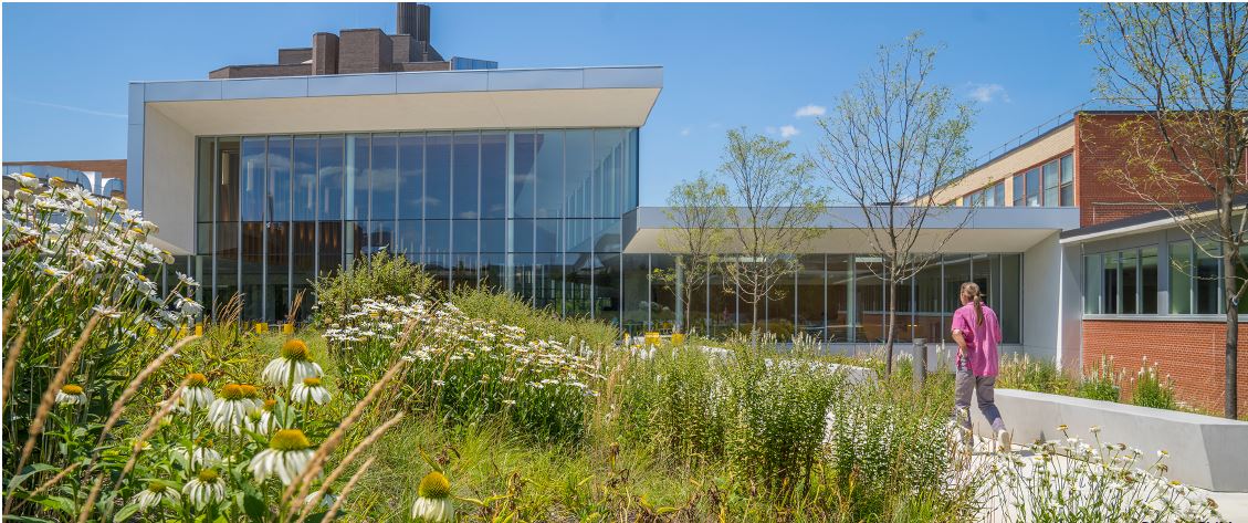 Interior CVM courtyard on a summer day