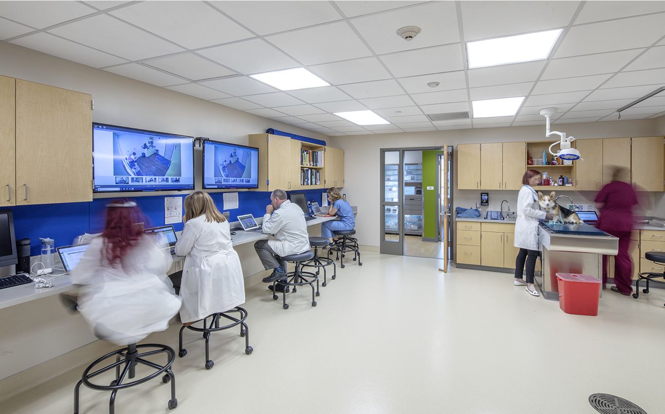 exam room with clinicians and a dog