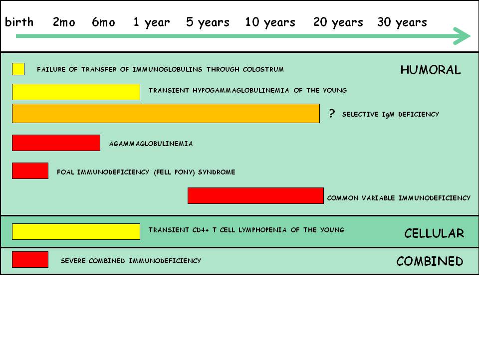 types of equine immunodeficiency