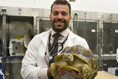 Dr. DiGirolamo with Jimmy the tortoise
