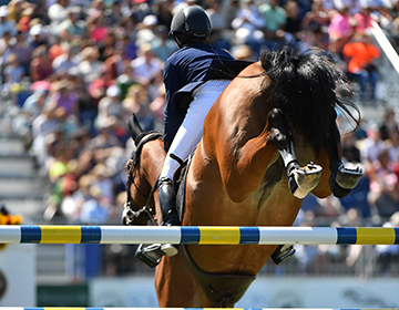 Horse and rider clearing a hurtle 