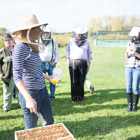 Liddell Bee Laboratory