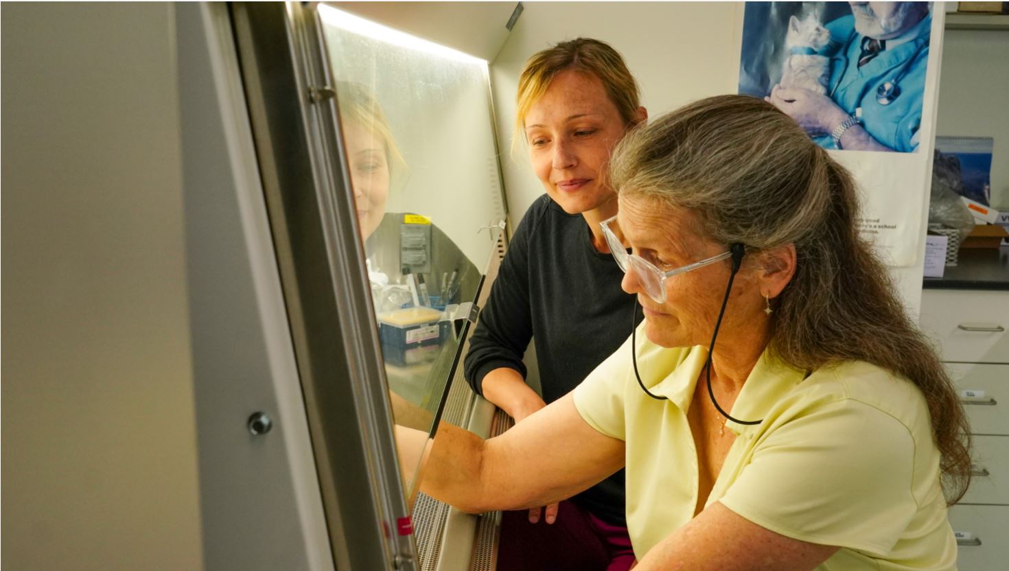 Sabine Mann and a colleague in the lab