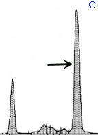 dog myeloma graph