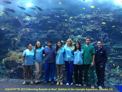 Morning rounds at GA aquarium