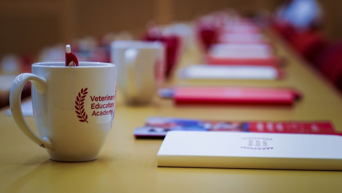 close up of mugs and notebooks