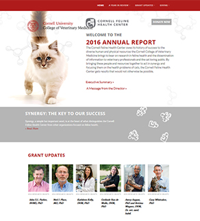 Online annual report screen shot