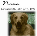 Nuna the dog