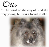 Otis the dog
