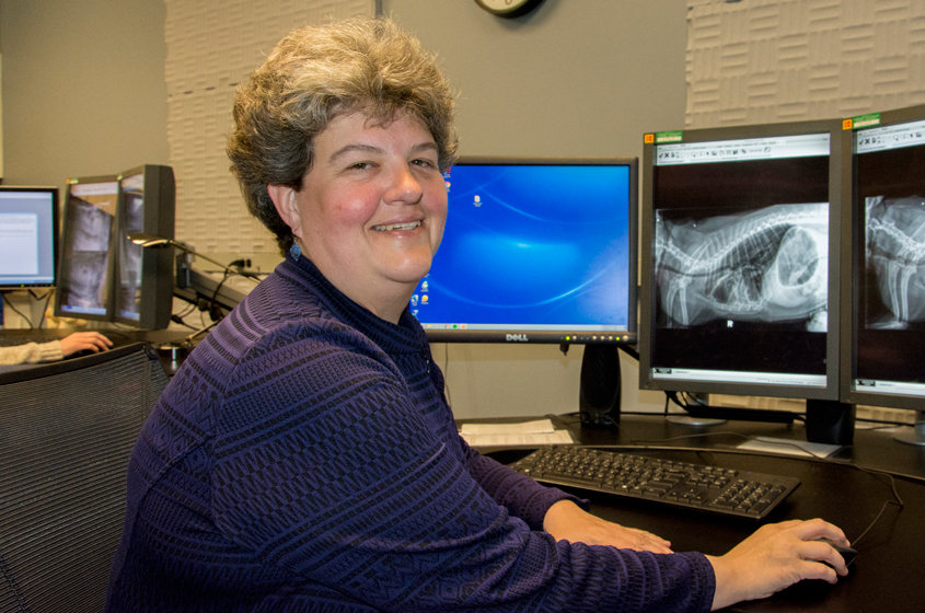 Dr. Meg Thompson, Associate Clinical Professor of Imaging at the Cornell College of Veterinary Medicine