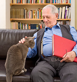 Older man petting grey cat