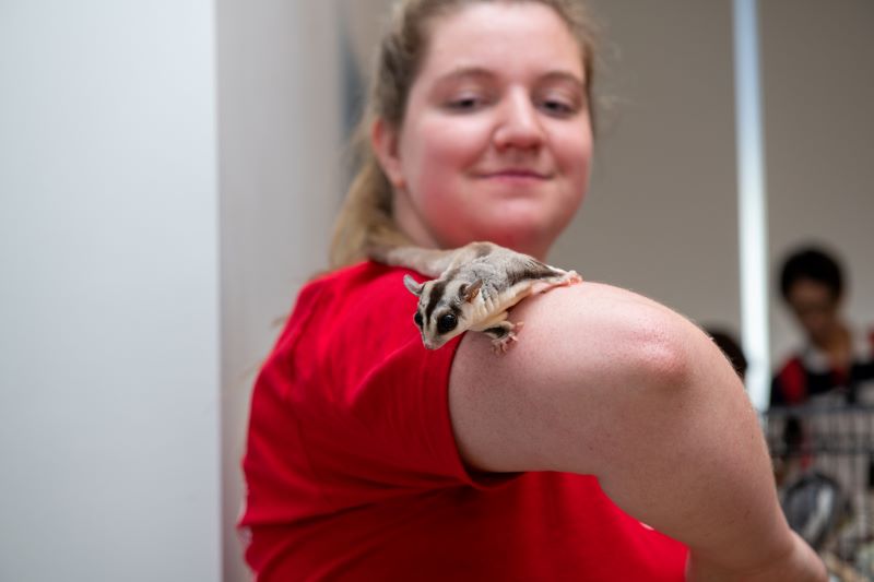 student with sugar glider 