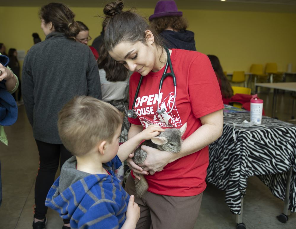 a DVM student shows a child a chinchilla at the open house