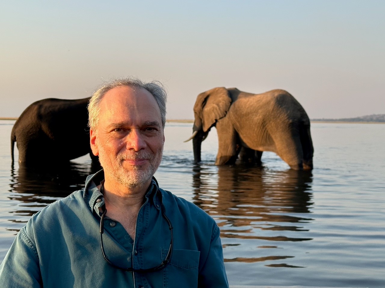 Steven Osofsky, D.V.M. '89, receives award at AVMA meeting Cornell