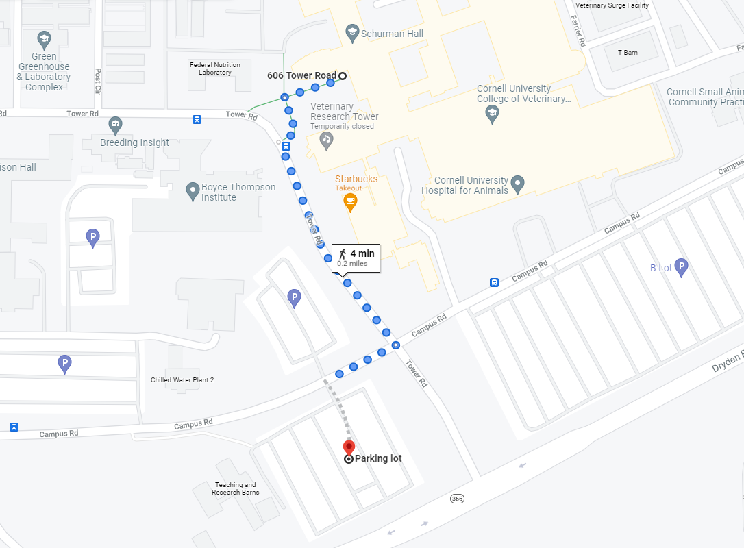 Walking directions from parking lot to CVM