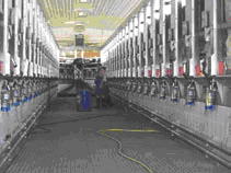 Milking parlor