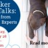 Baker Pet Talks: Pet Health Tips from Cornell Experts