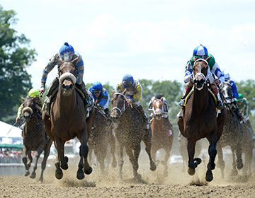 Derby riders racing action shot