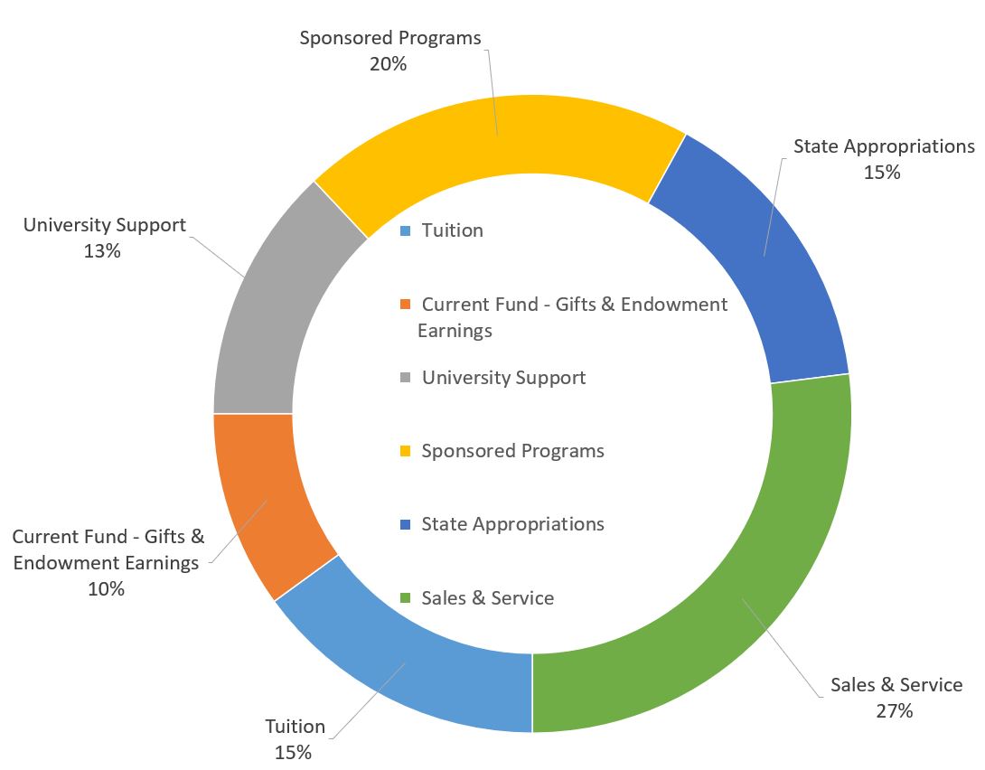 2021 revenue pie chart