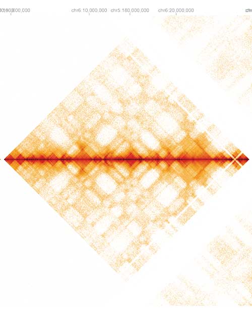 Anatomy Lab heat map