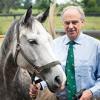 Cancer-causing virus strikes genetically vulnerable horses