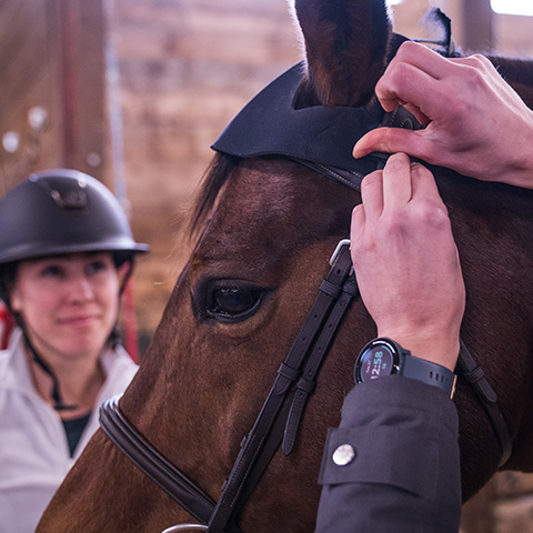 lameness locator head sensor cap on horse
