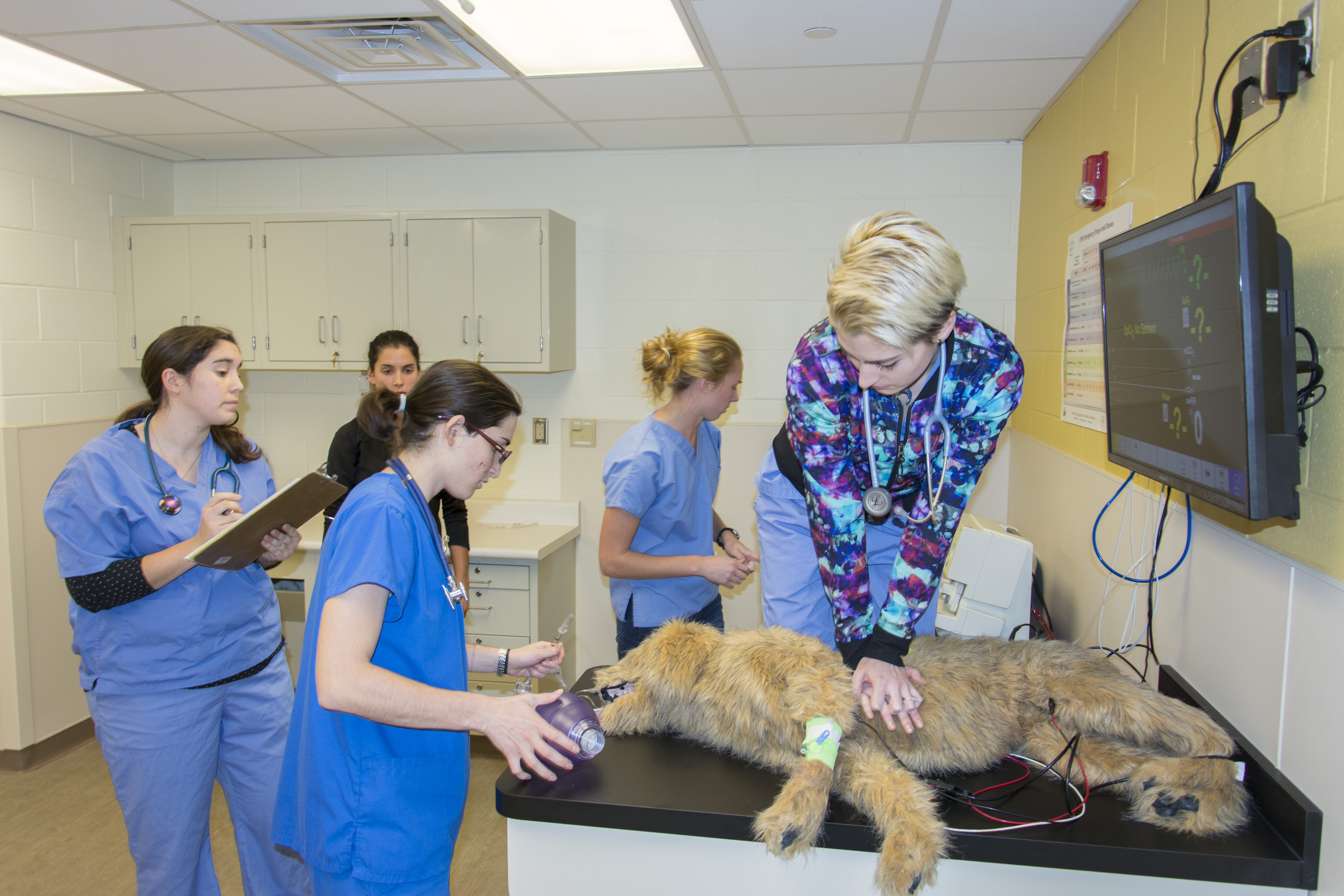 students in CPR training