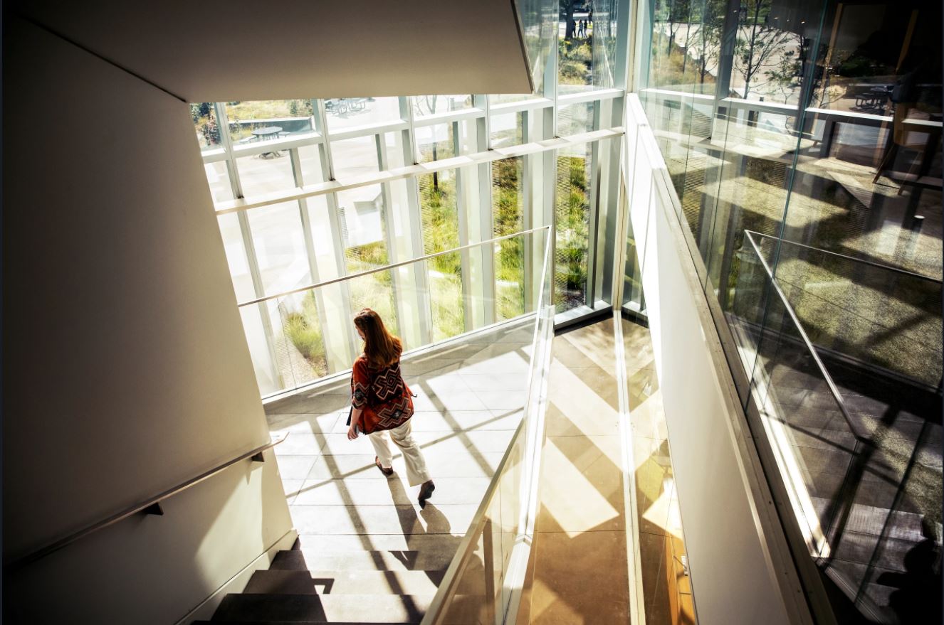 a woman walks down the schurman hall stairwell