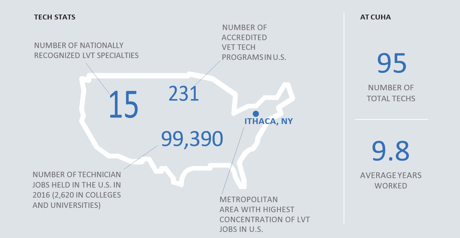 Statistics about LVTs.