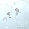 Stem cells delivered in microcapsules speed wound healing