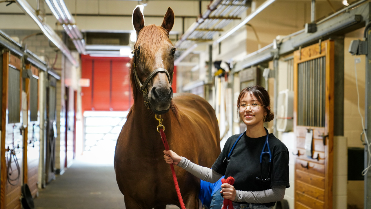 student with a horse