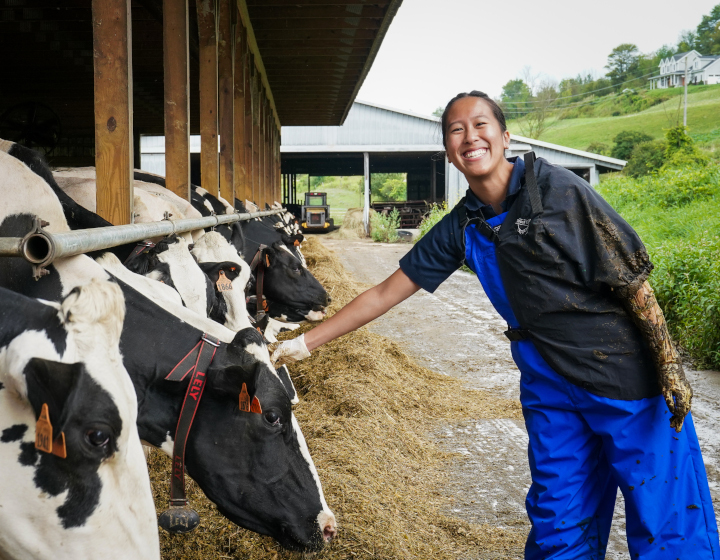 student with a cow