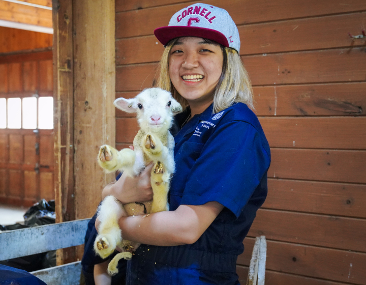 student with a sheep