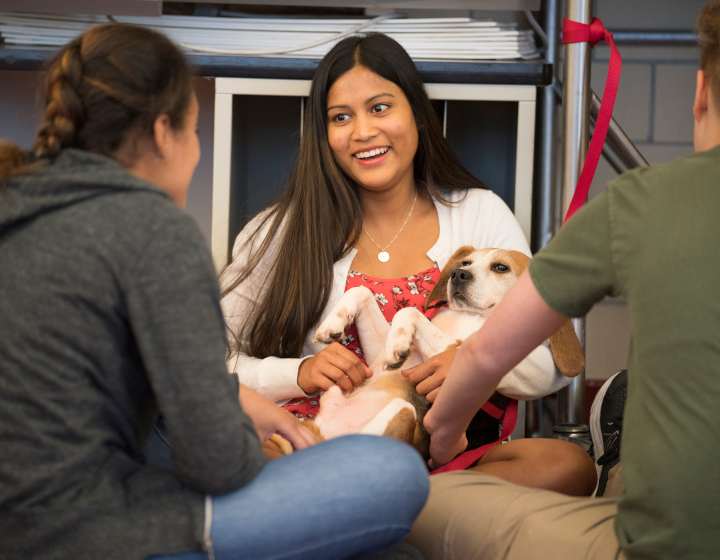 Students chatting and holding a dog