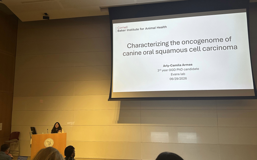 Arly Camila Armas Jimenez of the Evans Lab giving a presentation at podium