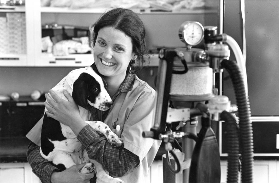 Circa mid 1980, a student holds a spaniel puppy near anesthesia equipment.