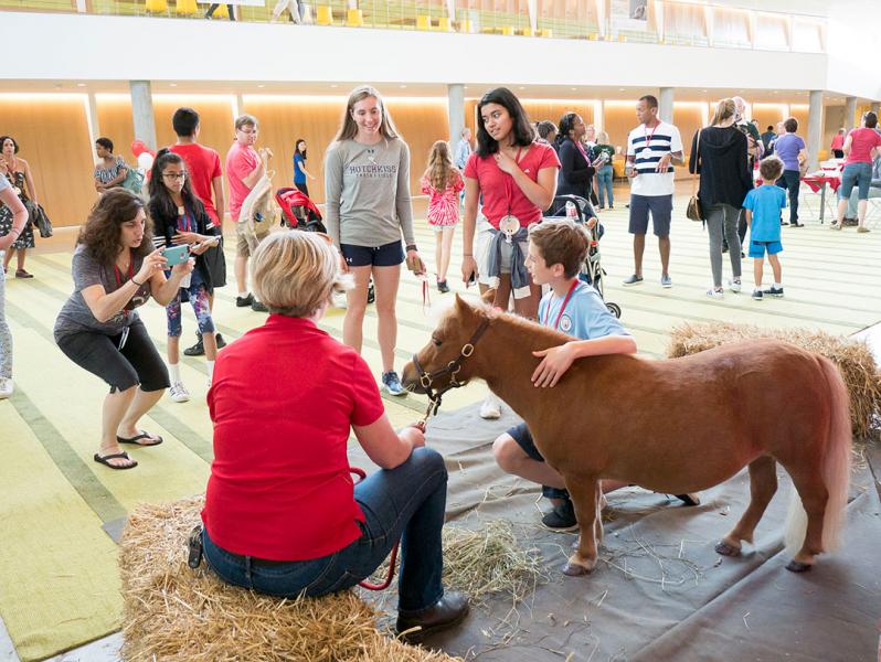 Minnie the miniature horse greets visitors to Reunion 2018