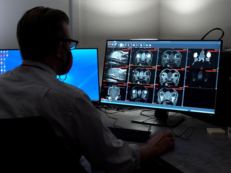 Imaging specialist reviewing MRI images on a computer