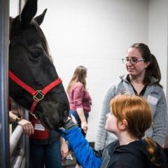 A tour guest pets the pregnant mare. 