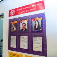 A display hanging on the vet tent explaining who the students and clinicians are