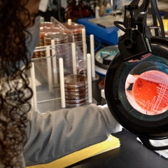 A scientist, partially visible in the background and wearing a white lab coat, is holding a petri dish
